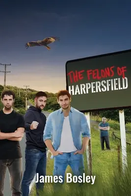 I criminali di Harpersfield - The Felons of Harpersfield