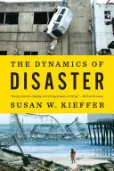 La dinamica del disastro - The Dynamics of Disaster