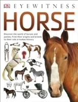 Cavallo - Horse