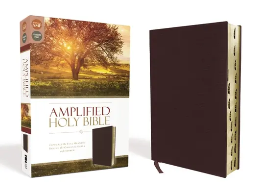 Amplificato-Am: Cattura il pieno significato dell'originale greco ed ebraico - Amplified-Am: Captures the Full Meaning Behind the Original Greek and Hebrew