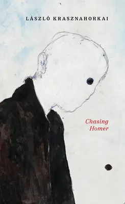Inseguendo Omero - Chasing Homer