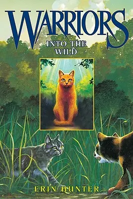 Nelle terre selvagge - Into the Wild