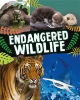La fauna selvatica in pericolo - Endangered Wildlife