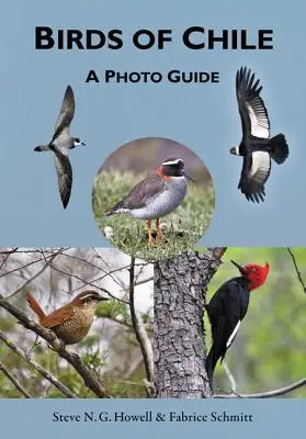 Uccelli del Cile: Guida fotografica - Birds of Chile: A Photo Guide