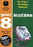 Algebra: Anno 8 - Algebra: Year 8