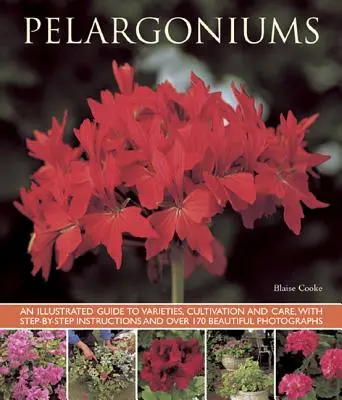 Pelargoni: Una guida illustrata alle varietà, alla coltivazione e alla cura, con istruzioni passo passo e oltre 170 bellissime fotografie. - Pelargoniums: An Illustrated Guide to Varieties, Cultivation and Care, with Step-By-Step Instructions and Over 170 Beautiful Photogr