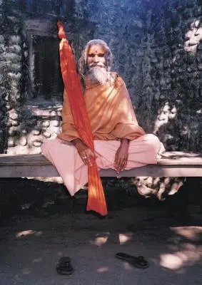 Dandi Swami: La storia della volontà del Guru, di Maharishi Mahesh Yogi, degli Shankaracharyas di Jyotir Math e degli incontri con Dandi Swami N - Dandi Swami: The Story of the Guru's Will, Maharishi Mahesh Yogi, the Shankaracharyas of Jyotir Math, & Meetings with Dandi Swami N