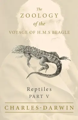 Rettili - Parte V - La zoologia del viaggio di H.M.S Beagle - Reptiles - Part V - The Zoology of the Voyage of H.M.S Beagle