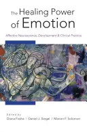 Il potere curativo delle emozioni: Neuroscienze affettive, sviluppo e pratica clinica - The Healing Power of Emotion: Affective Neuroscience, Development and Clinical Practice