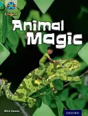 Progetto X Origini: Fascia di libri turchesi, Oxford Livello 7: Nascondino: Magia degli animali - Project X Origins: Turquoise Book Band, Oxford Level 7: Hide and Seek: Animal Magic