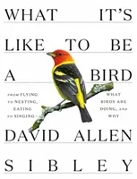 Com'è essere un uccello: Dal volo alla nidificazione, dal mangiare al cantare: cosa fanno gli uccelli e perché - What It's Like to Be a Bird: From Flying to Nesting, Eating to Singing--What Birds Are Doing, and Why