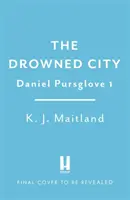 Città sommersa - Tradimento. Bugie. Cospirazione. Un uomo deve scoprire la verità. - Drowned City - Treason. Lies. Conspiracy. One man must uncover the truth.