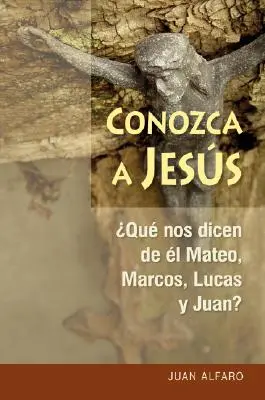 Conosci Jess: Cosa dicono di Matteo, Marco, Lucas e Giovanni? - Conozca a Jess: Que Nos Dicen de l Mateo, Marcos, Lucas Y Juan?