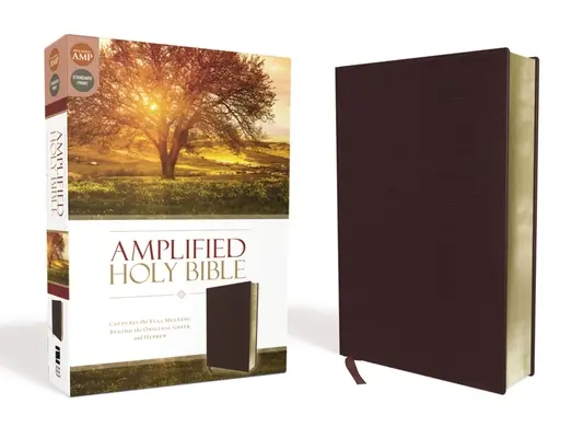Bibbia Amplificata-Am: Cattura il pieno significato dietro l'originale greco ed ebraico - Amplified Bible-Am: Captures the Full Meaning Behind the Original Greek and Hebrew