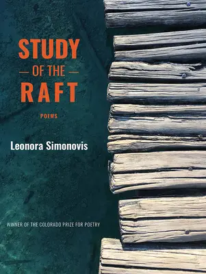 Studio della zattera - Study of the Raft