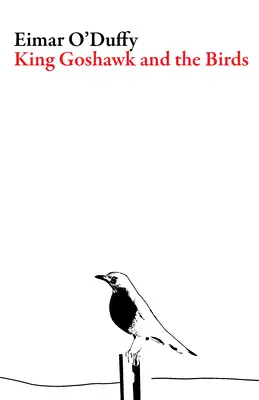 Re Astore e gli uccelli - King Goshawk and the Birds