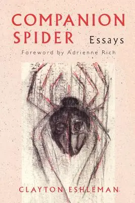 Ragno compagno - Companion Spider