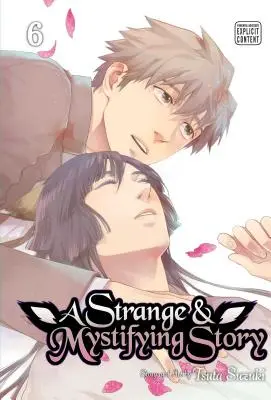 Una storia strana e misteriosa, Vol. 6, 6 - A Strange and Mystifying Story, Vol. 6, 6