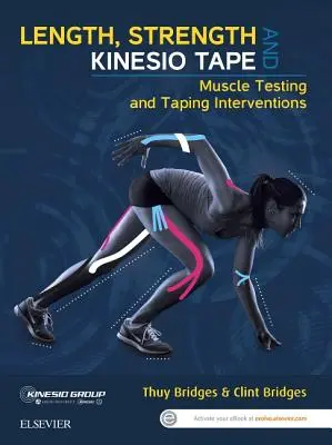 Lunghezza, forza e Kinesio Tape: Test muscolari e interventi di taping - Length, Strength and Kinesio Tape: Muscle Testing and Taping Interventions