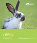 Coniglio - Rabbit