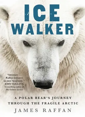 Il camminatore dei ghiacci: Il viaggio di un orso polare attraverso il fragile Artico - Ice Walker: A Polar Bear's Journey Through the Fragile Arctic