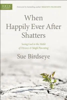 Quando il “vissero felici e contenti” va in frantumi: Vedere Dio nel mezzo del divorzio e della famiglia monoparentale - When Happily Ever After Shatters: Seeing God in the Midst of Divorce & Single Parenting