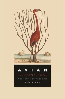 Illuminazioni aviarie: Una storia culturale degli uccelli - Avian Illuminations: A Cultural History of Birds