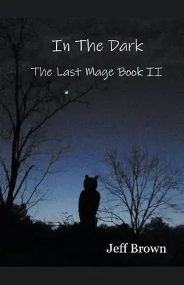 Nel buio: L'ultimo mago libro II - In The Dark: The Last Mage Book II