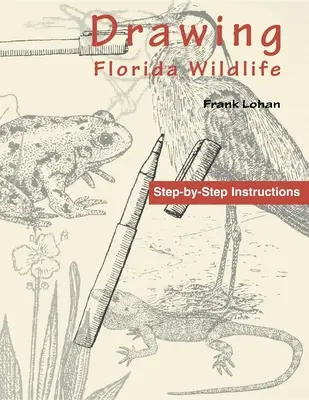 Disegnare la fauna selvatica della Florida - Drawing Florida Wildlife