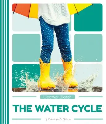 Il ciclo dell'acqua - The Water Cycle
