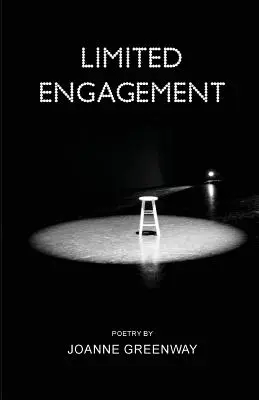 Impegno limitato - Limited Engagement
