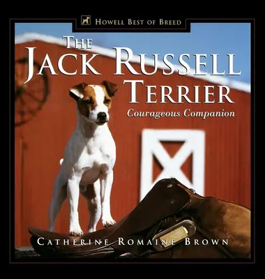 Il Jack Russell Terrier: Compagno coraggioso - The Jack Russell Terrier: Courageous Companion