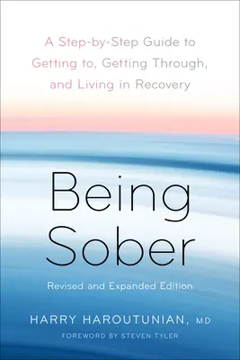 Essere sobri: Una guida passo-passo per raggiungere, superare e vivere il recupero, riveduta e ampliata - Being Sober: A Step-By-Step Guide to Getting To, Getting Through, and Living in Recovery, Revised and Expanded