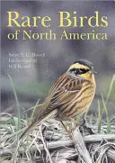 Uccelli rari del Nord America - Rare Birds of North America