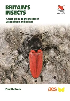 Gli insetti della Gran Bretagna: Una guida da campo agli insetti della Gran Bretagna e dell'Irlanda - Britain's Insects: A Field Guide to the Insects of Great Britain and Ireland