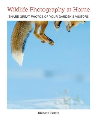 Fotografare la fauna selvatica a casa - Wildlife Photography at Home