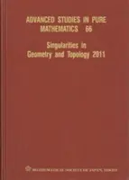 Singolarità in geometria e topologia 2011 - Singularities in Geometry and Topology 2011