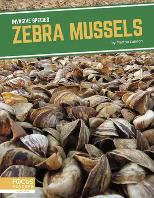 Cozze zebrate - Zebra Mussels