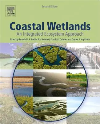 Zone umide costiere: Un approccio ecosistemico integrato - Coastal Wetlands: An Integrated Ecosystem Approach