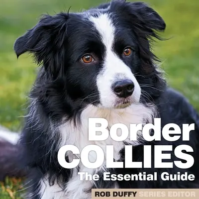Border Collie: La guida essenziale - Border Collies: The Essential Guide