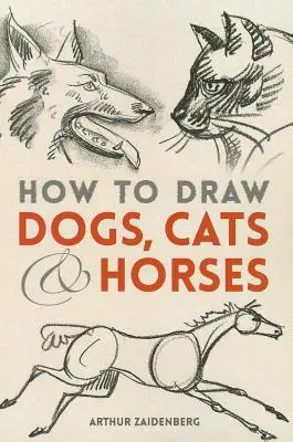 Come disegnare cani, gatti e cavalli - How to Draw Dogs, Cats and Horses