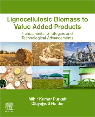 Dalla biomassa lignocellulosica ai prodotti a valore aggiunto: Strategie fondamentali e progressi tecnologici - Lignocellulosic Biomass to Value-Added Products: Fundamental Strategies and Technological Advancements