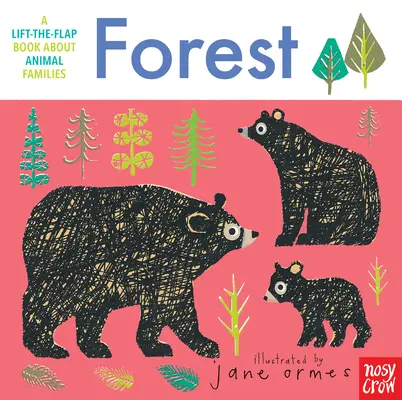 Famiglie di animali: Foresta - Animal Families: Forest