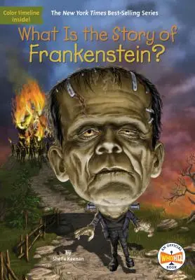 Qual è la storia di Frankenstein? - What Is the Story of Frankenstein?