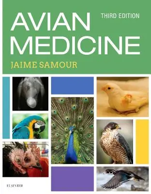 Medicina aviaria - Avian Medicine