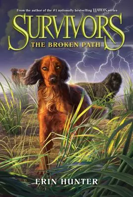 Sopravvissuti #4: Il sentiero spezzato - Survivors #4: The Broken Path