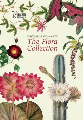 La collezione di flora: Cartoline in scatola - The Flora Collection: Postcards in a Box