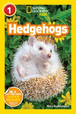 Lettori geografici nazionali: Ricci (Livello 1) - National Geographic Readers: Hedgehogs (Level 1)