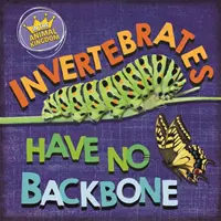 Nel regno animale: Gli invertebrati non hanno spina dorsale - In the Animal Kingdom: Invertebrates Have No Backbone