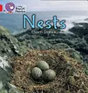 Nidi - Nests